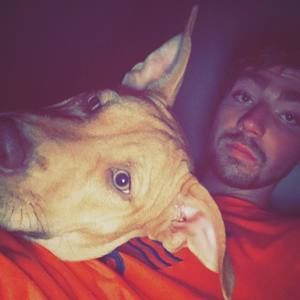 Meet your Posher, Daimon